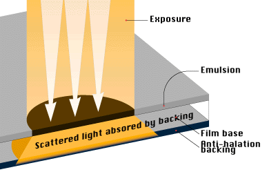 film density image